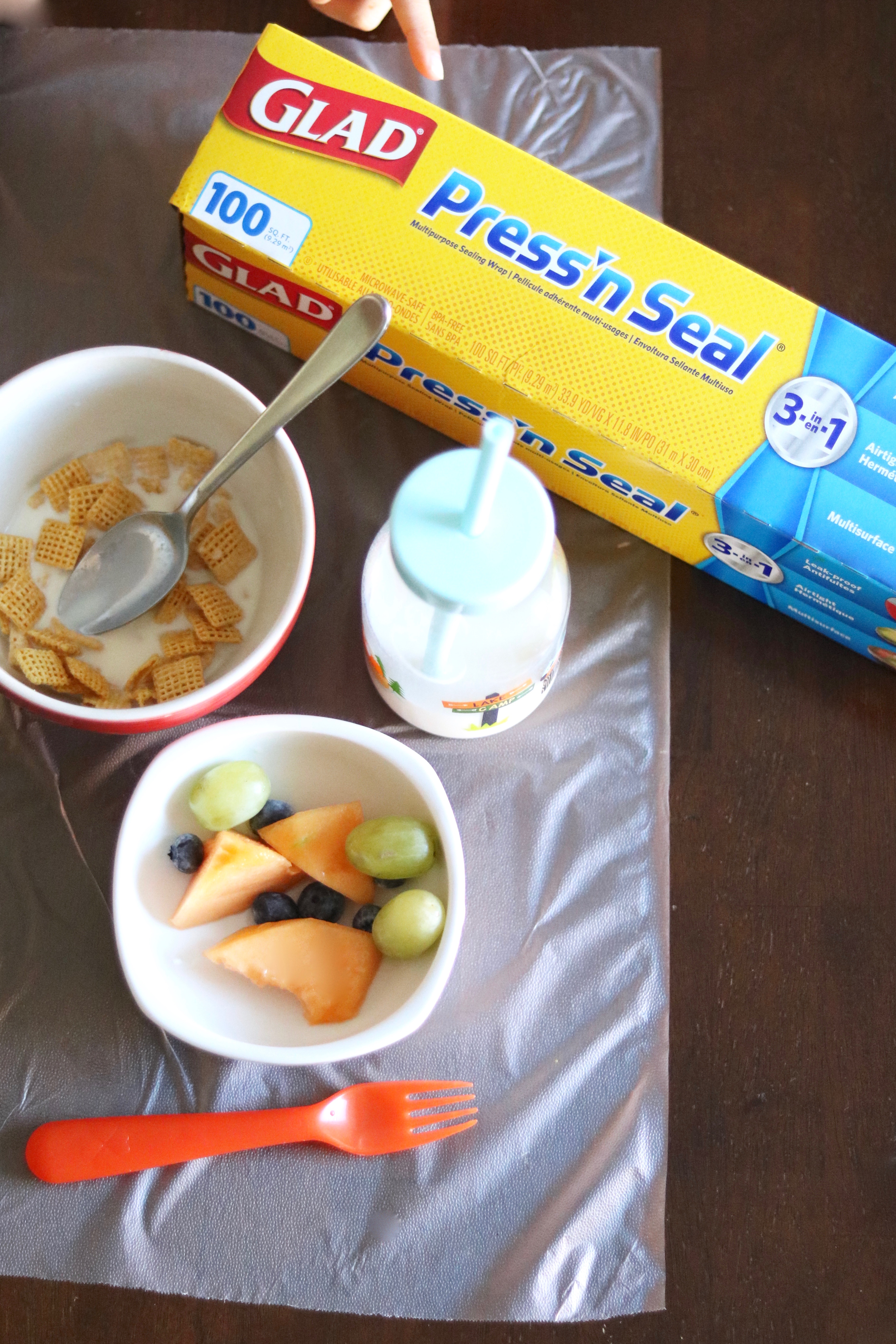 placemat alternative idea A Beautiful RAWR